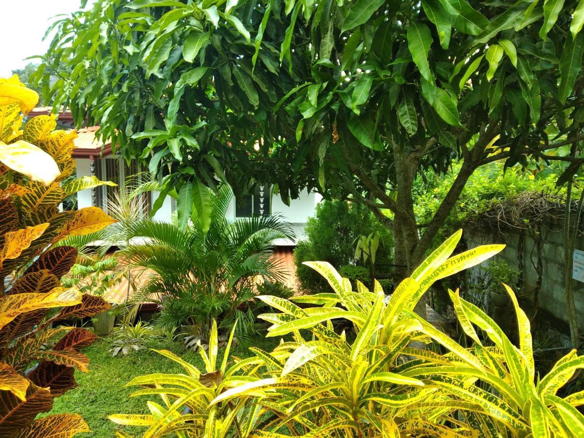 Sandhara Home Stay Tangalle Exteriér fotografie
