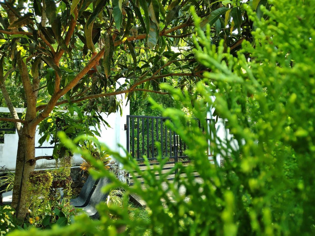 Sandhara Home Stay Tangalle Exteriér fotografie